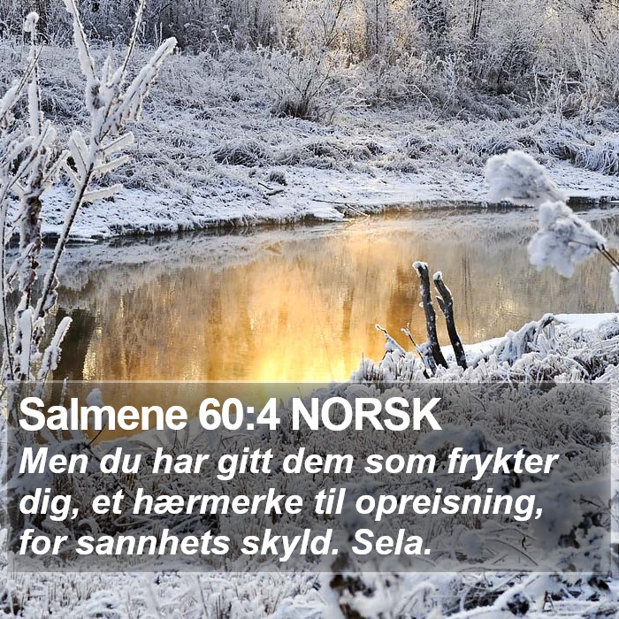 Salmene 60:4 NORSK Bible Study