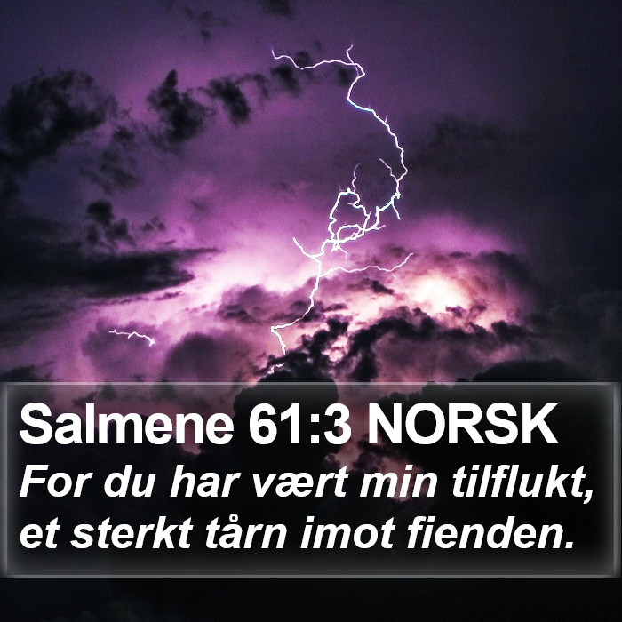 Salmene 61:3 NORSK Bible Study