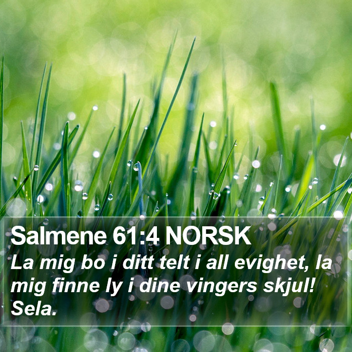 Salmene 61:4 NORSK Bible Study