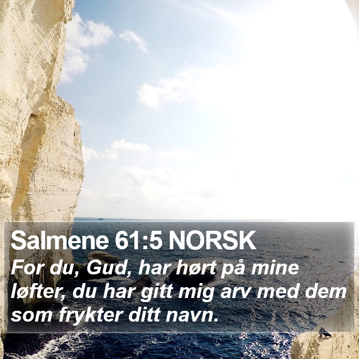 Salmene 61:5 NORSK Bible Study