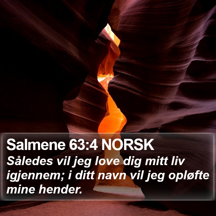 Salmene 63:4 NORSK Bible Study