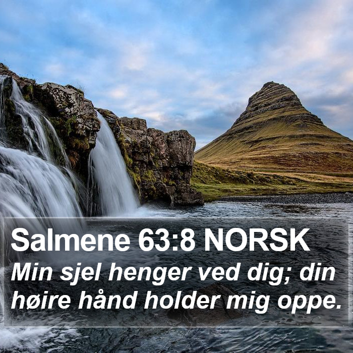 Salmene 63:8 NORSK Bible Study