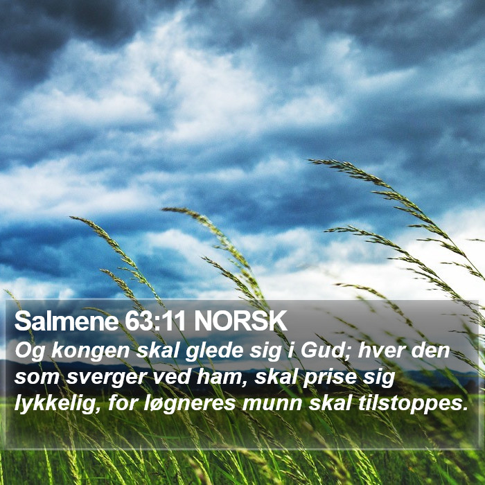 Salmene 63:11 NORSK Bible Study