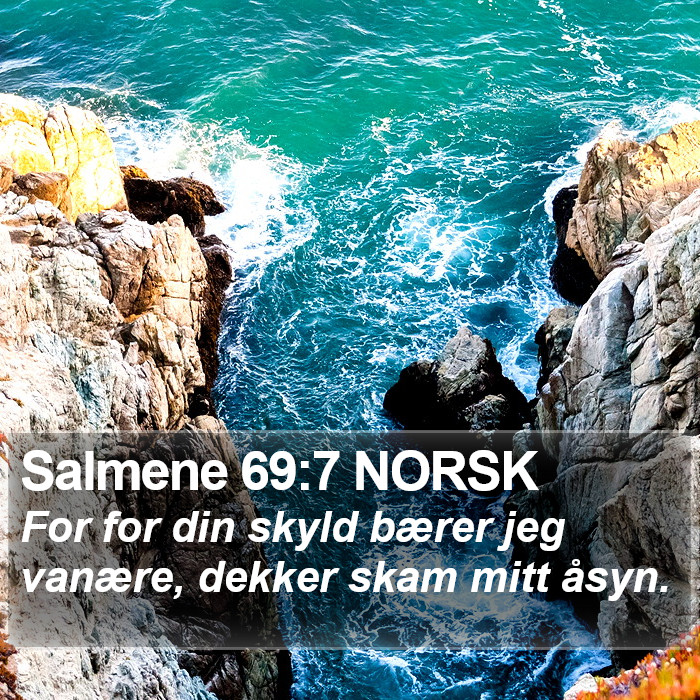 Salmene 69:7 NORSK Bible Study