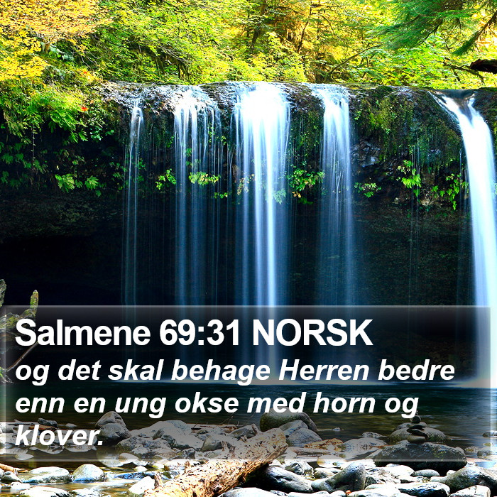 Salmene 69:31 NORSK Bible Study