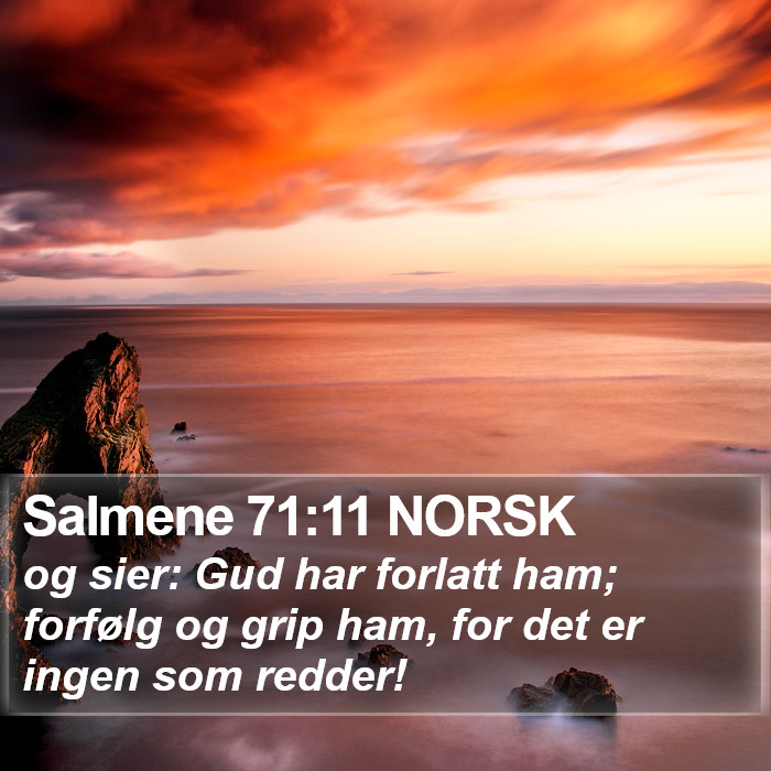 Salmene 71:11 NORSK Bible Study
