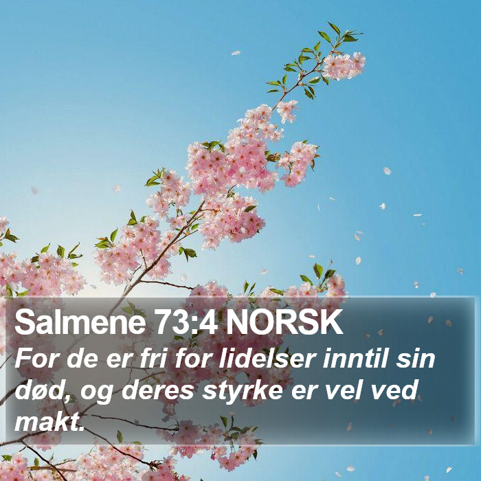 Salmene 73:4 NORSK Bible Study