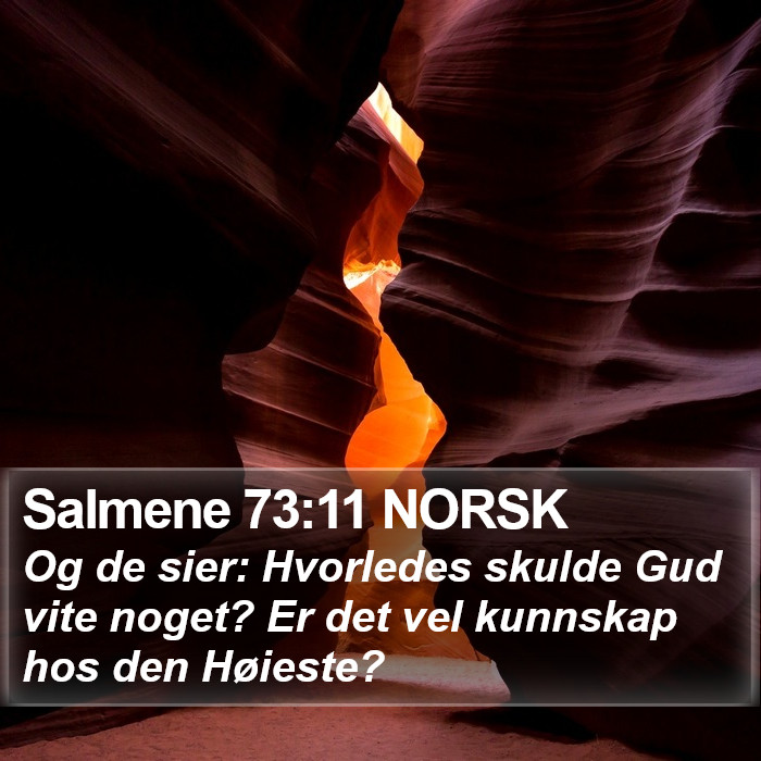 Salmene 73:11 NORSK Bible Study