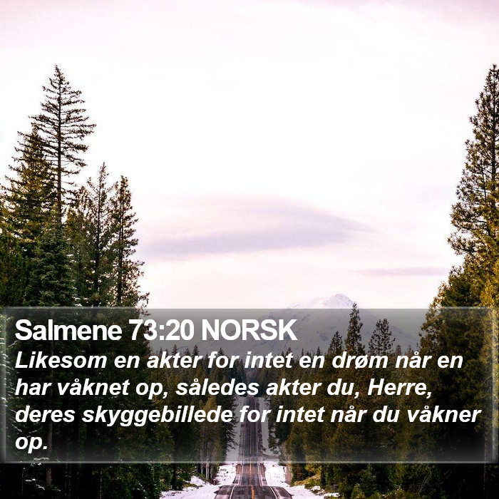 Salmene 73:20 NORSK Bible Study