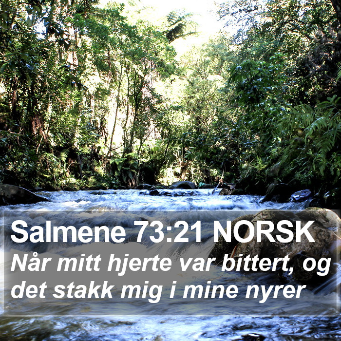 Salmene 73:21 NORSK Bible Study