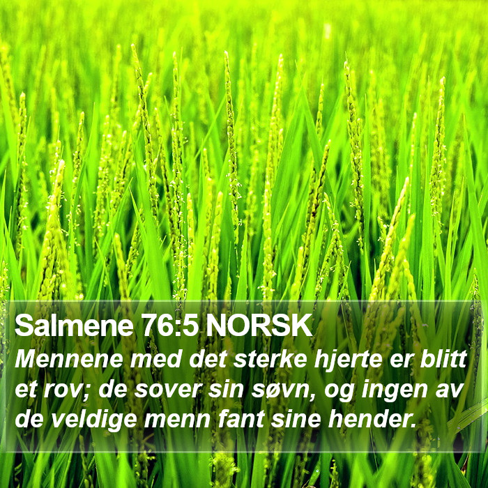 Salmene 76:5 NORSK Bible Study