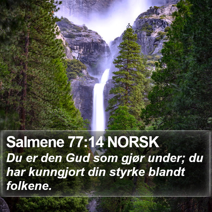 Salmene 77:14 NORSK Bible Study