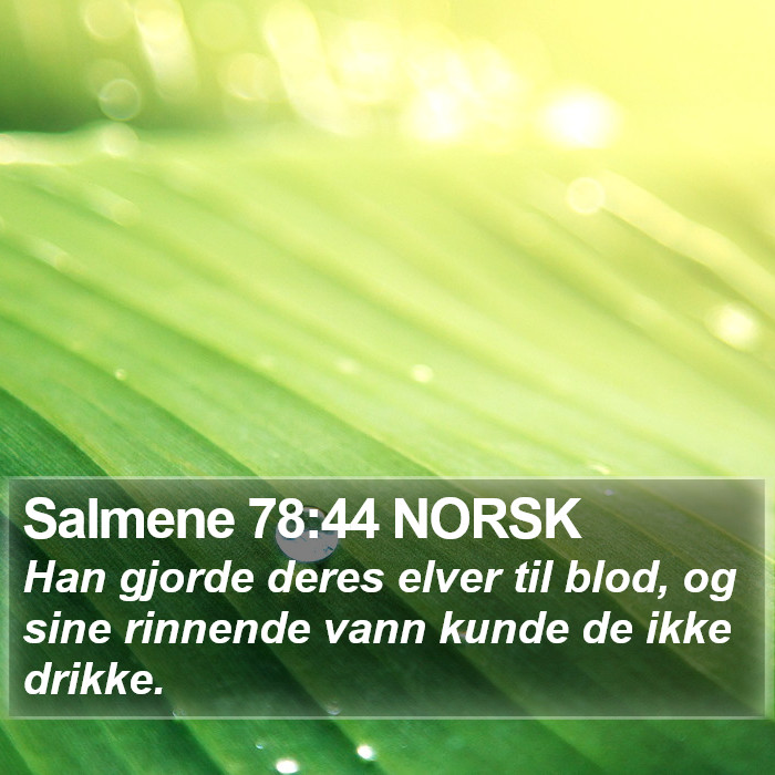 Salmene 78:44 NORSK Bible Study