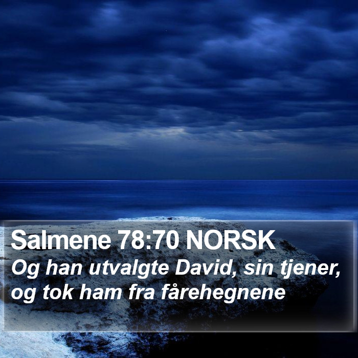 Salmene 78:70 NORSK Bible Study