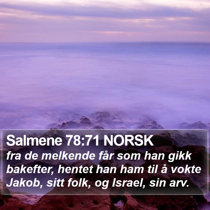 Salmene 78:71 NORSK Bible Study