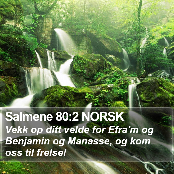 Salmene 80:2 NORSK Bible Study