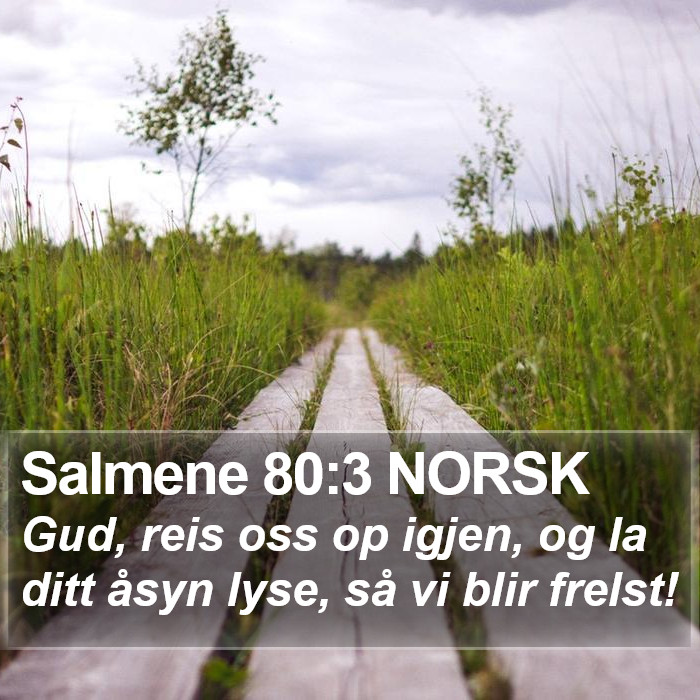 Salmene 80:3 NORSK Bible Study