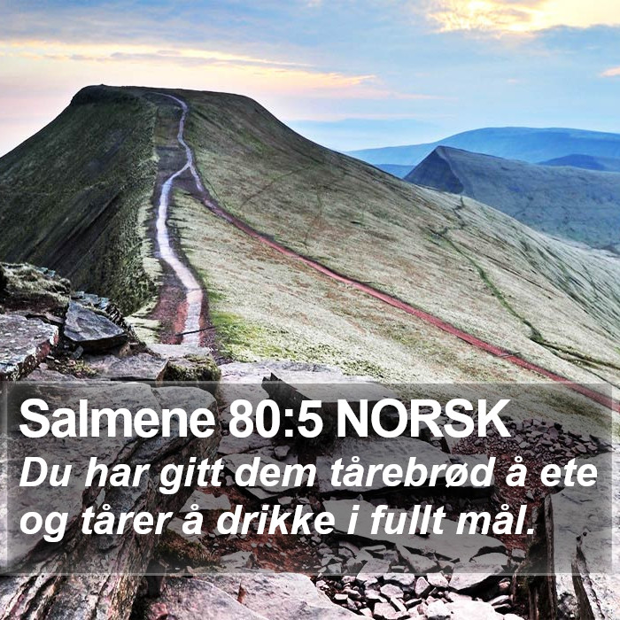 Salmene 80:5 NORSK Bible Study