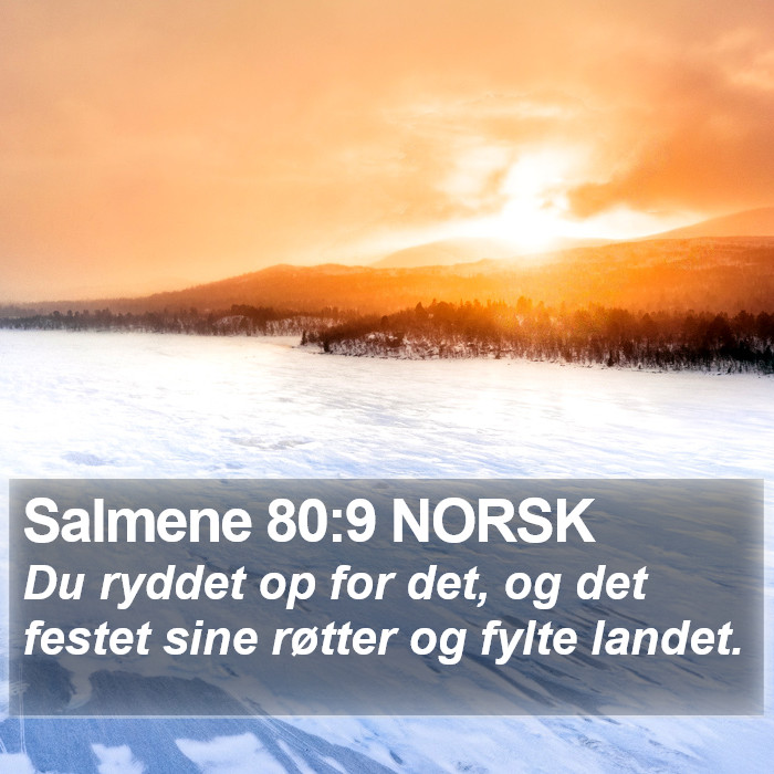 Salmene 80:9 NORSK Bible Study