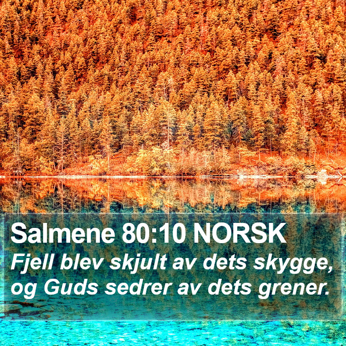 Salmene 80:10 NORSK Bible Study