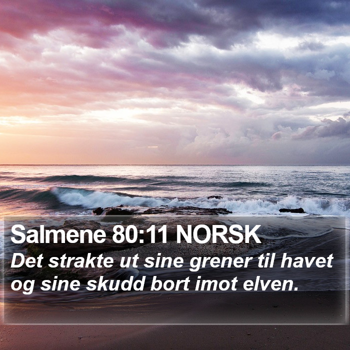 Salmene 80:11 NORSK Bible Study