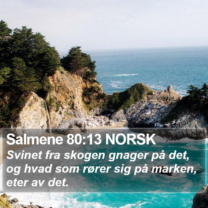 Salmene 80:13 NORSK Bible Study