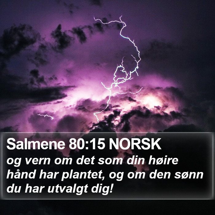 Salmene 80:15 NORSK Bible Study