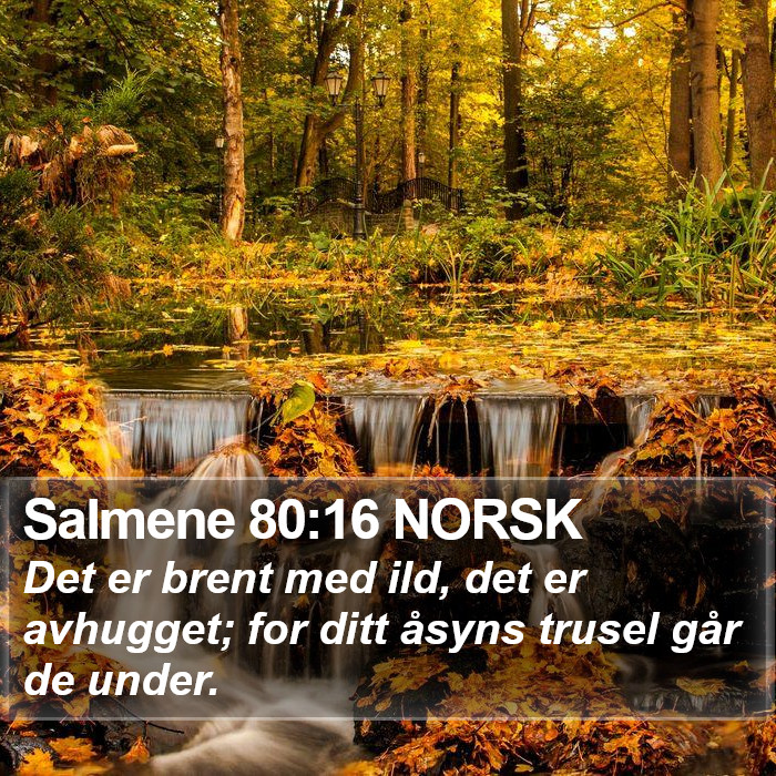 Salmene 80:16 NORSK Bible Study
