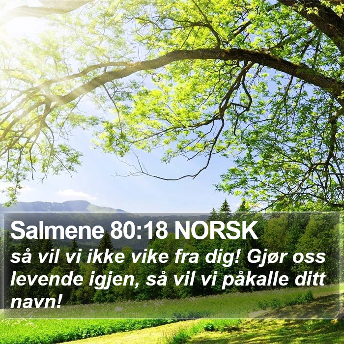 Salmene 80:18 NORSK Bible Study