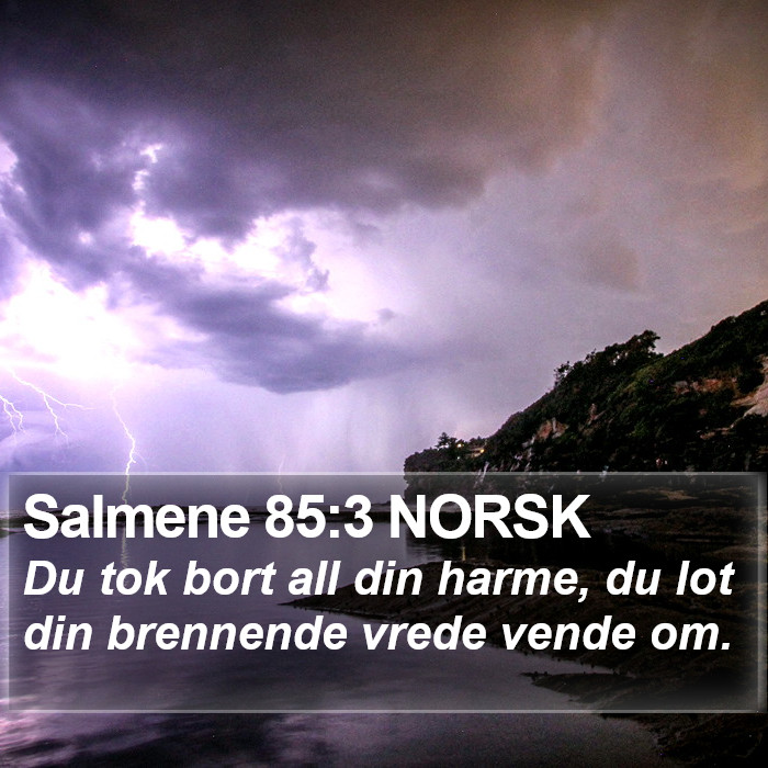 Salmene 85:3 NORSK Bible Study