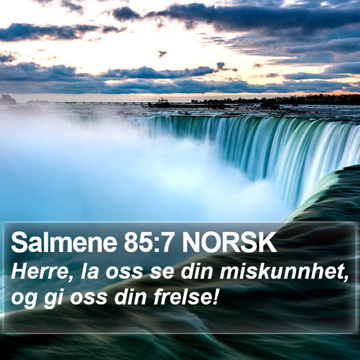 Salmene 85:7 NORSK Bible Study