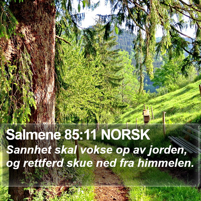 Salmene 85:11 NORSK Bible Study