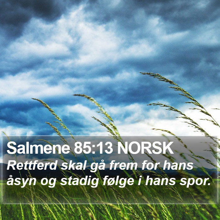 Salmene 85:13 NORSK Bible Study