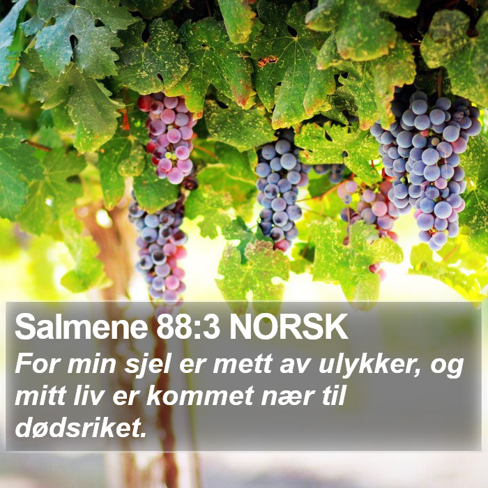 Salmene 88:3 NORSK Bible Study