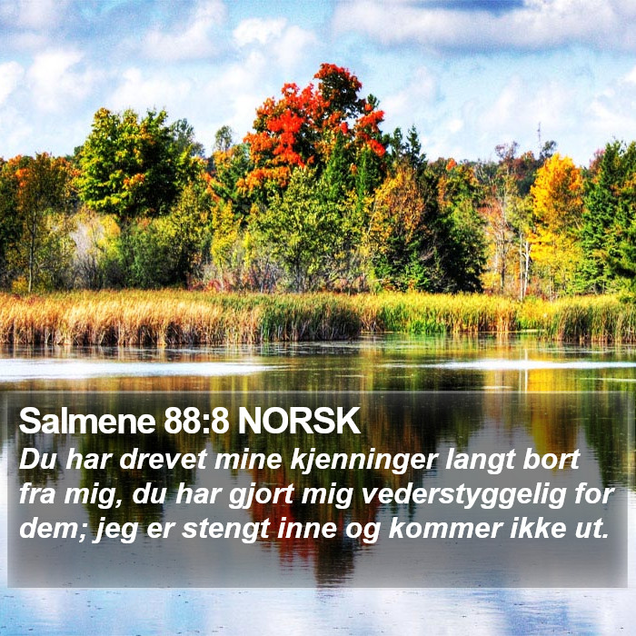 Salmene 88:8 NORSK Bible Study