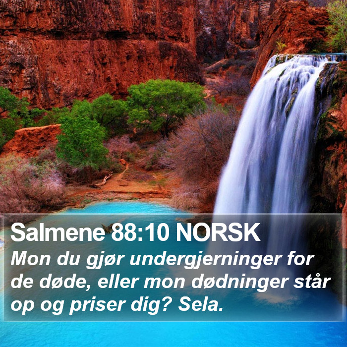 Salmene 88:10 NORSK Bible Study