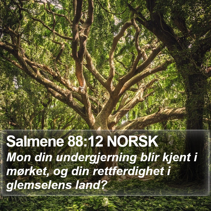 Salmene 88:12 NORSK Bible Study