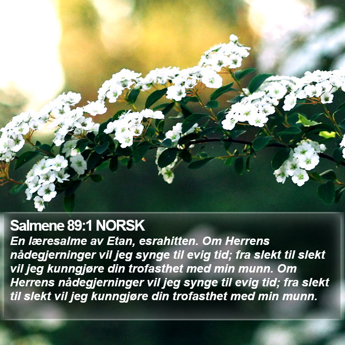 Salmene 89:1 NORSK Bible Study