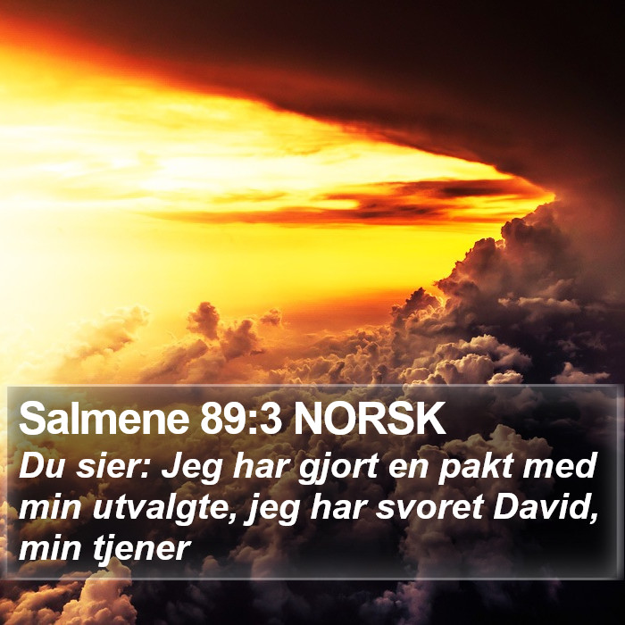 Salmene 89:3 NORSK Bible Study