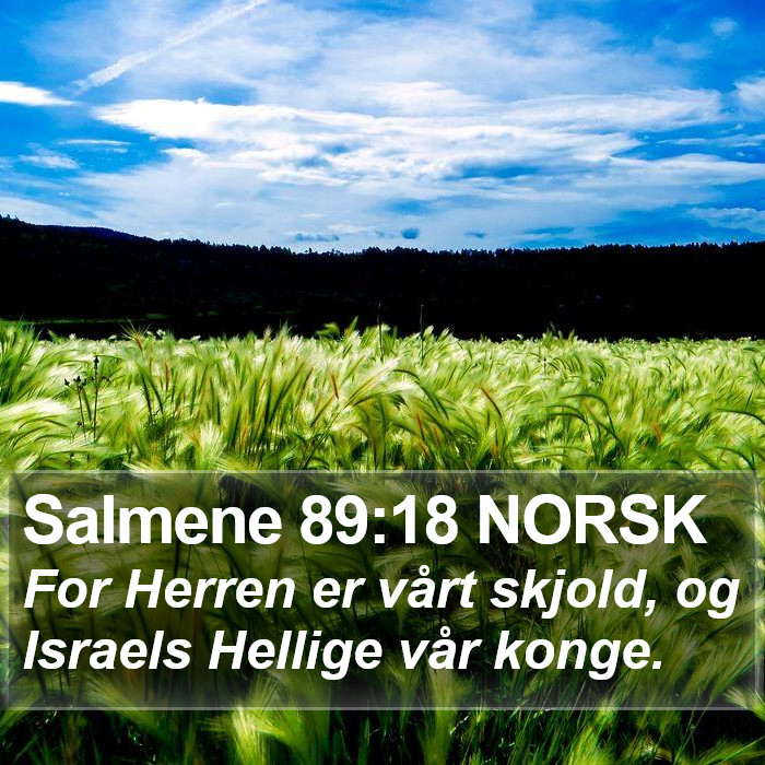 Salmene 89:18 NORSK Bible Study