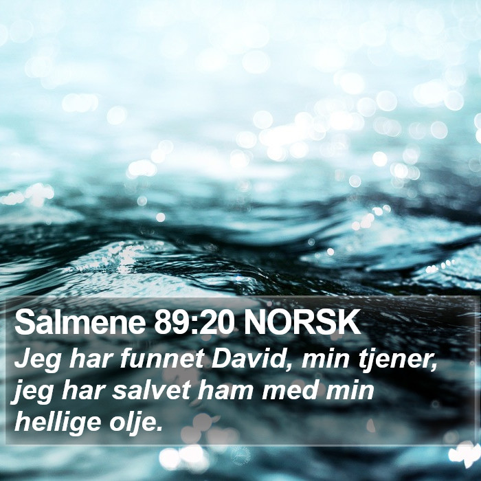 Salmene 89:20 NORSK Bible Study