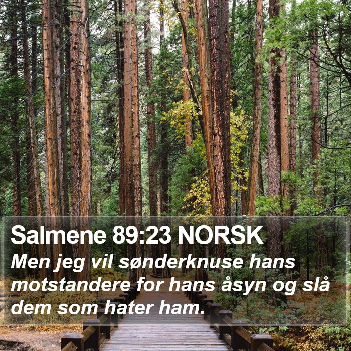 Salmene 89:23 NORSK Bible Study