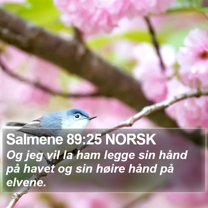 Salmene 89:25 NORSK Bible Study