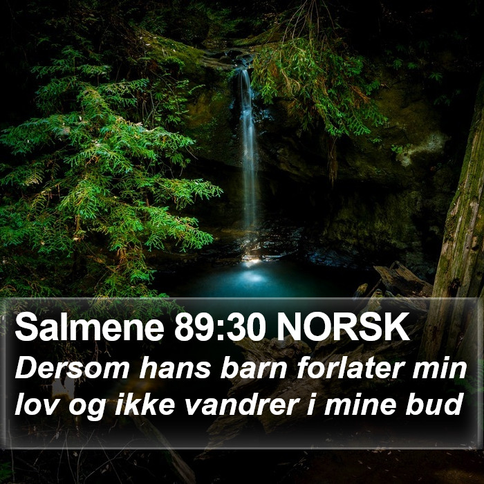 Salmene 89:30 NORSK Bible Study