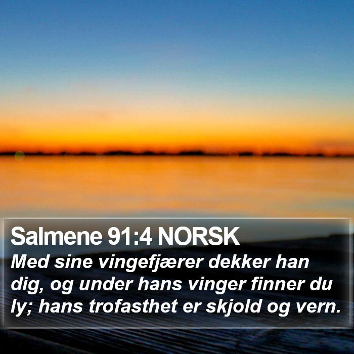 Salmene 91:4 NORSK Bible Study