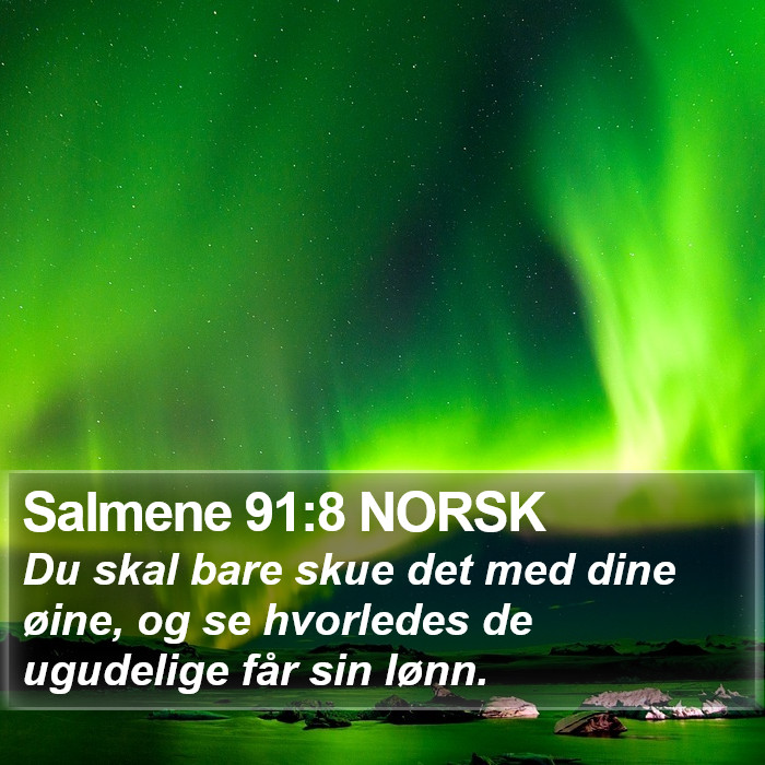 Salmene 91:8 NORSK Bible Study