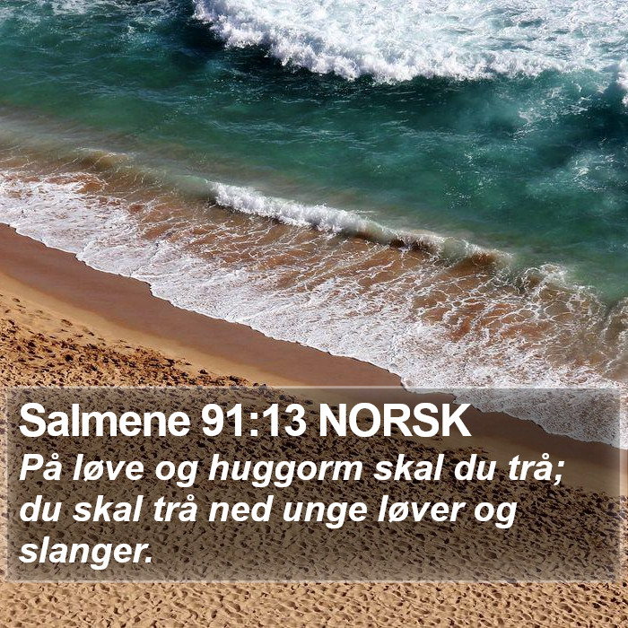 Salmene 91:13 NORSK Bible Study