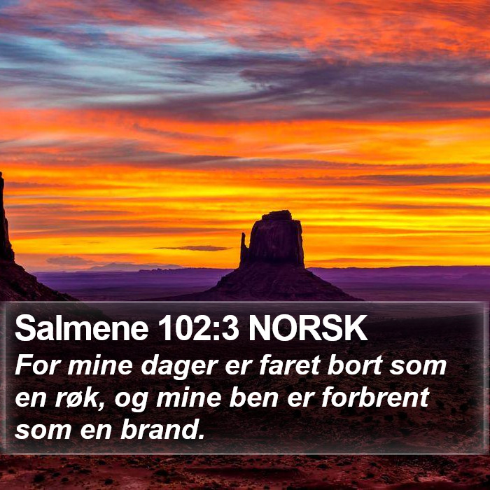 Salmene 102:3 NORSK Bible Study