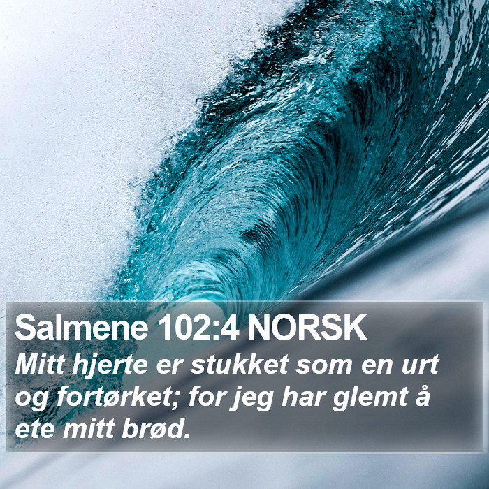 Salmene 102:4 NORSK Bible Study