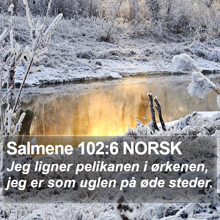 Salmene 102:6 NORSK Bible Study